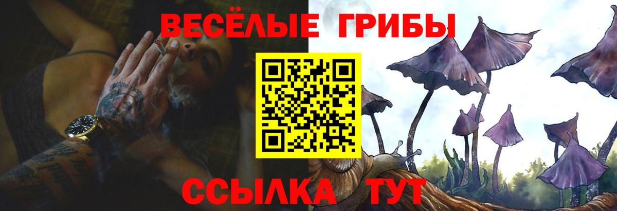 Псилоцибиновые грибы прущие грибы  Вход с VPN  Псилоцибиновые грибы Psilocybe  Пенза 